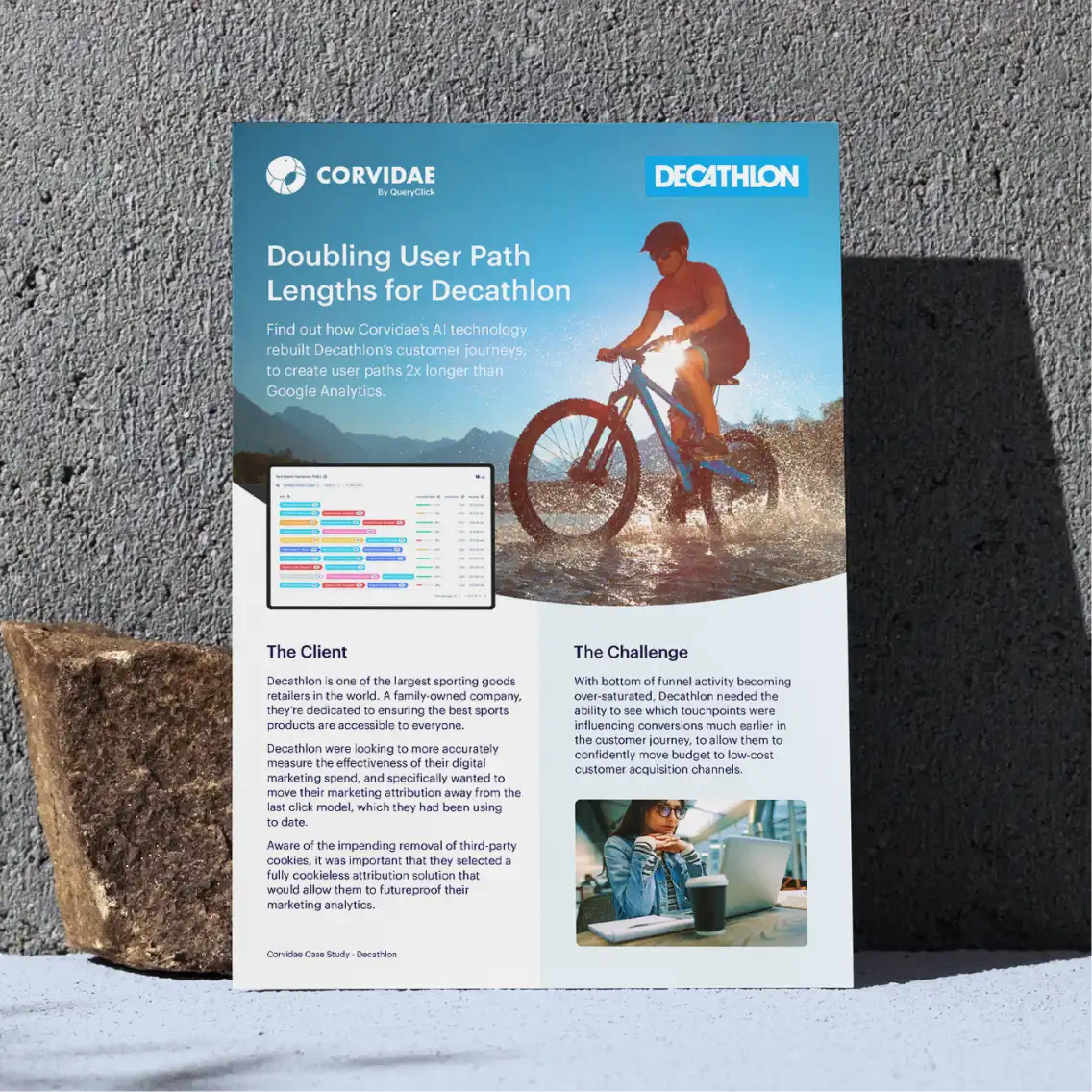 A Corvidae case study sheet against a concrete wall